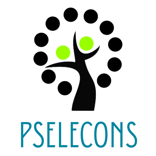 Aula Virtual Pselecons